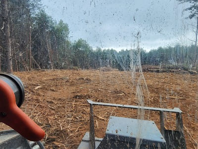 Forestry Mulching in Central Virginia