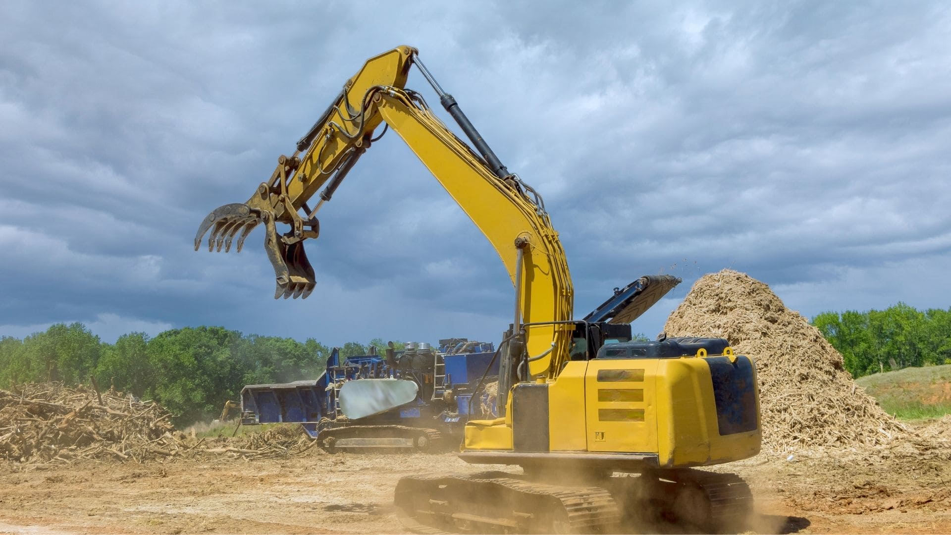 Top Rated Forestry Mulching in Central Virginia