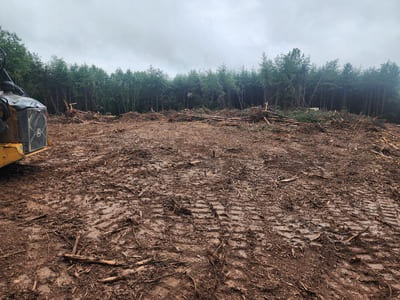 Land Clearing in Central Virginia