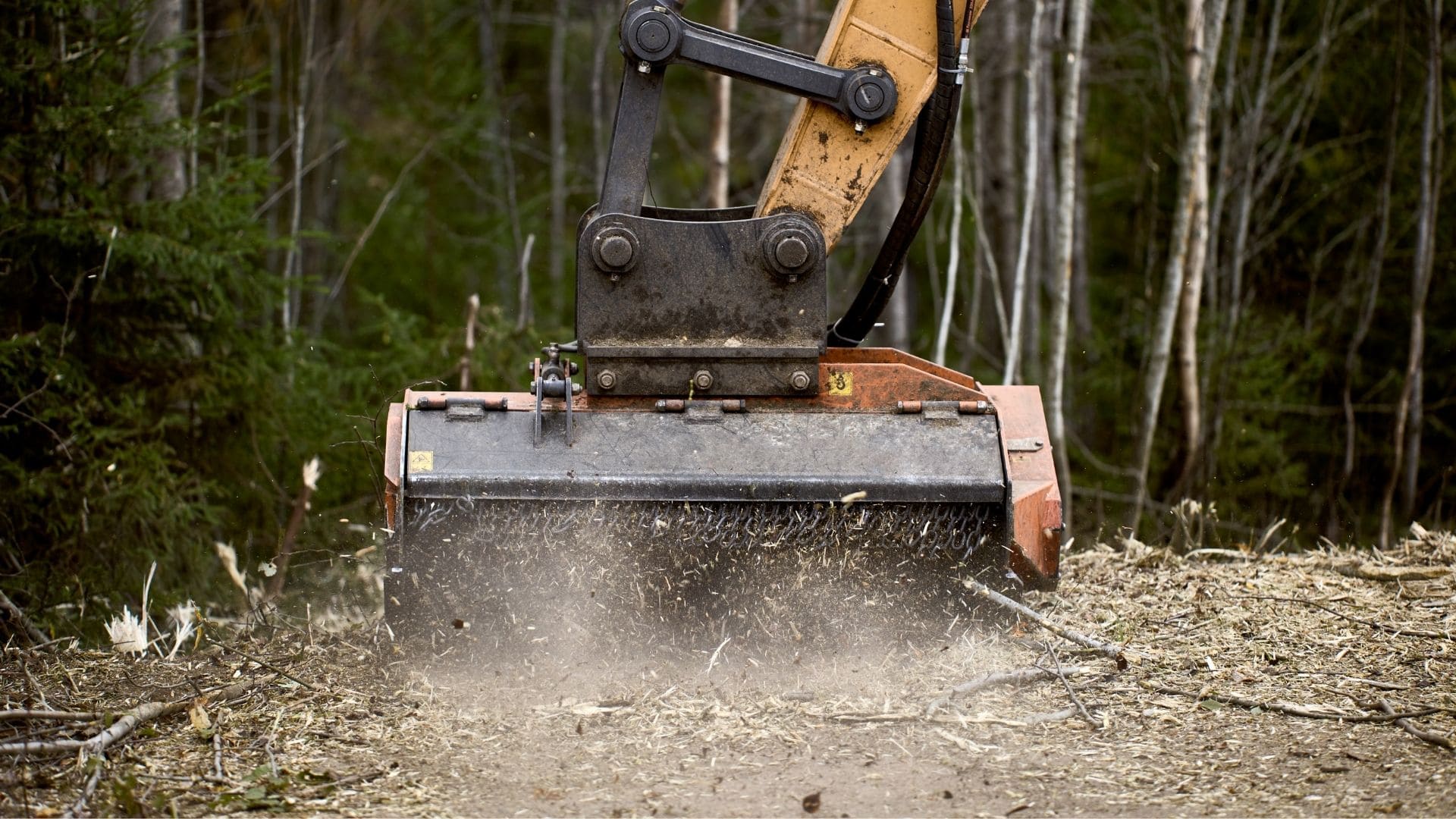 Land Management Near Me