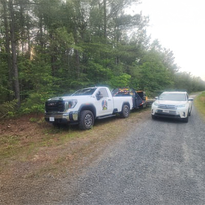 why choose Timber Shredders for Top Rated Forestry Mulching in Central Virginia