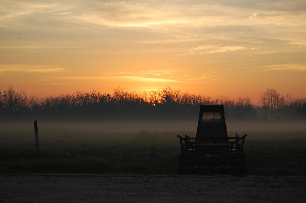 Gyrotrac forestry mulcher working in an open field at sunset