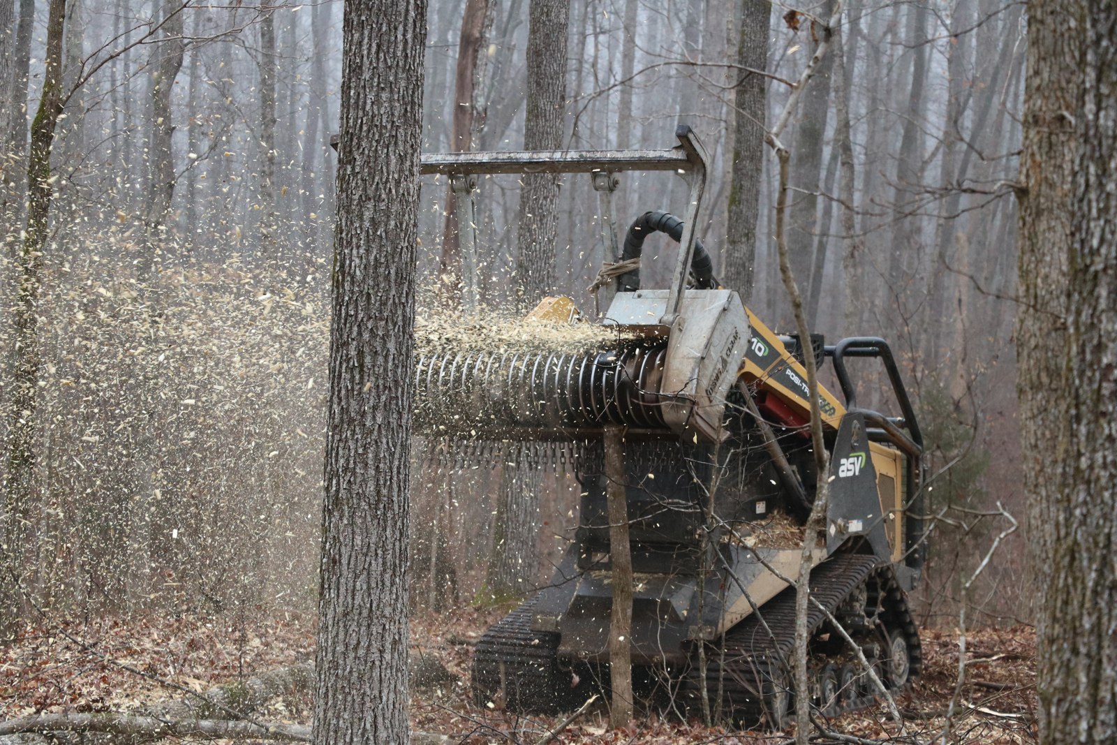 ASV compact tracked loader with a Denis Cimaf forestry mulching head