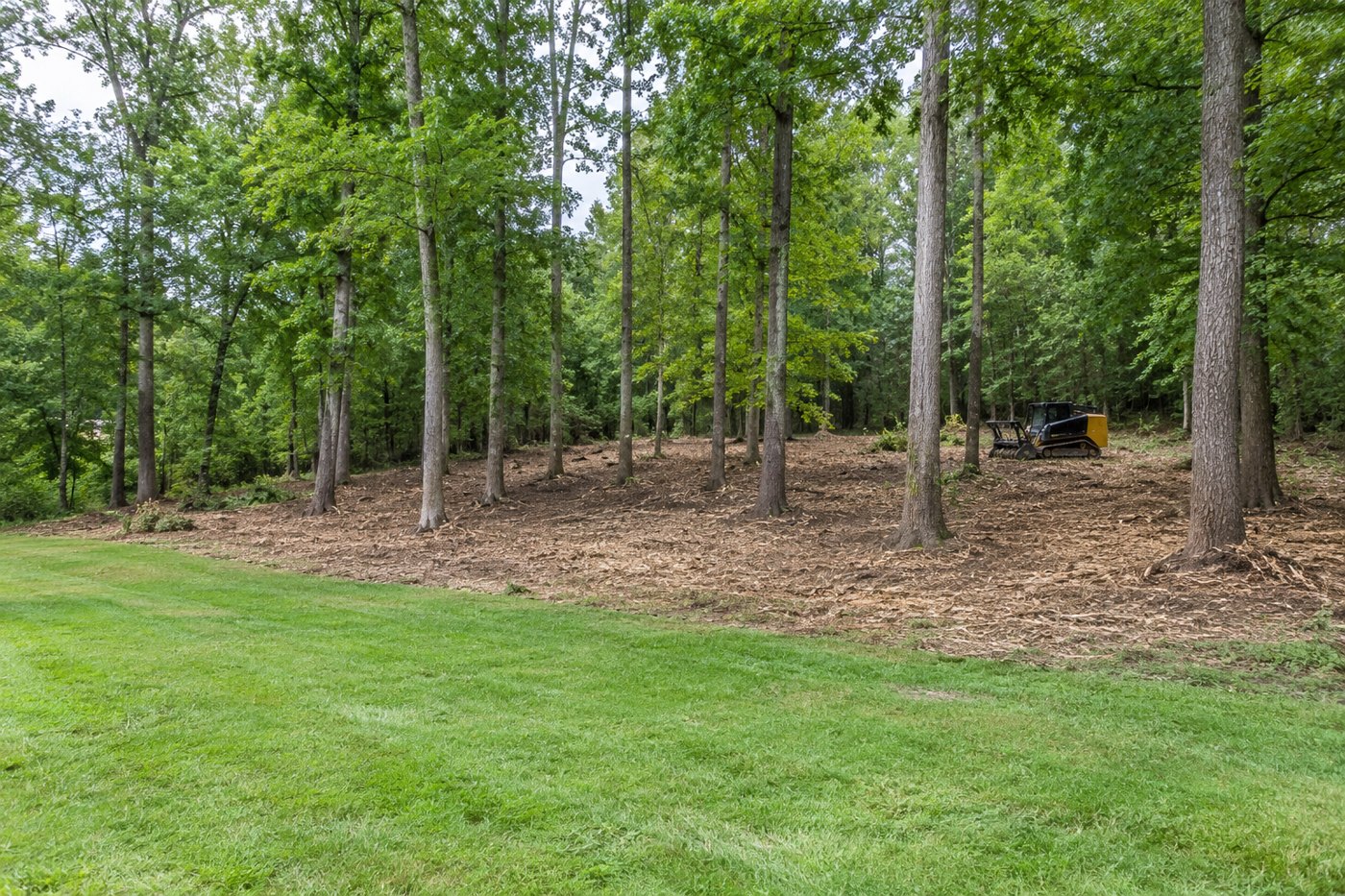Illustration of selective mulching and reclaimed private woodland
