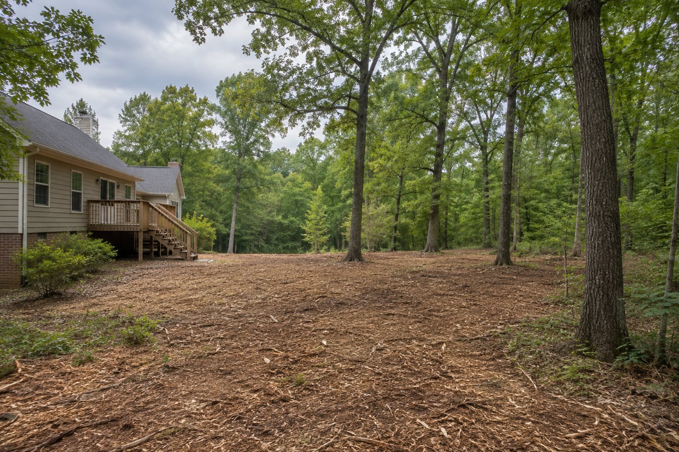 Illustration of selective mulching and reclaimed private woodland