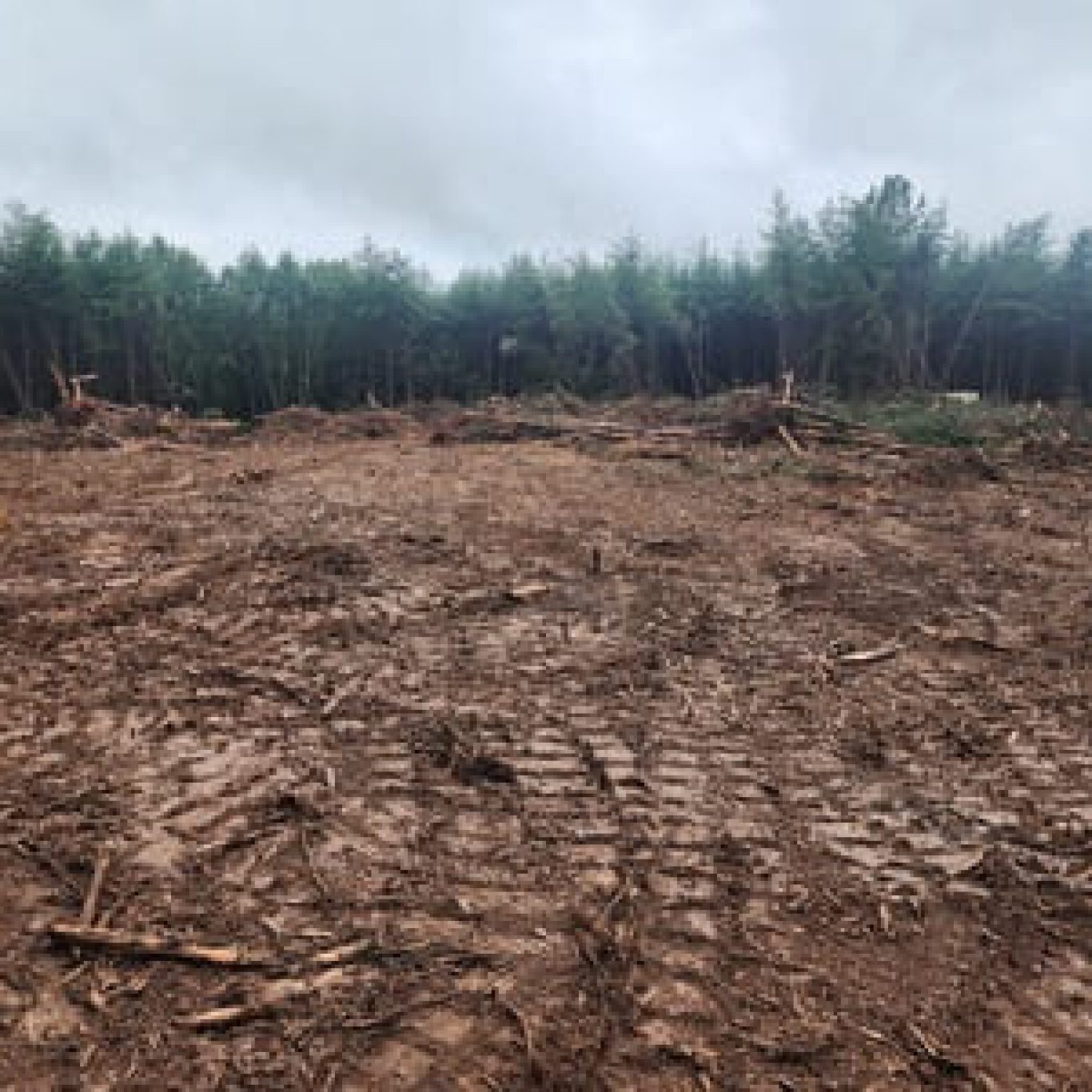 Land Clearing in Central Virginia