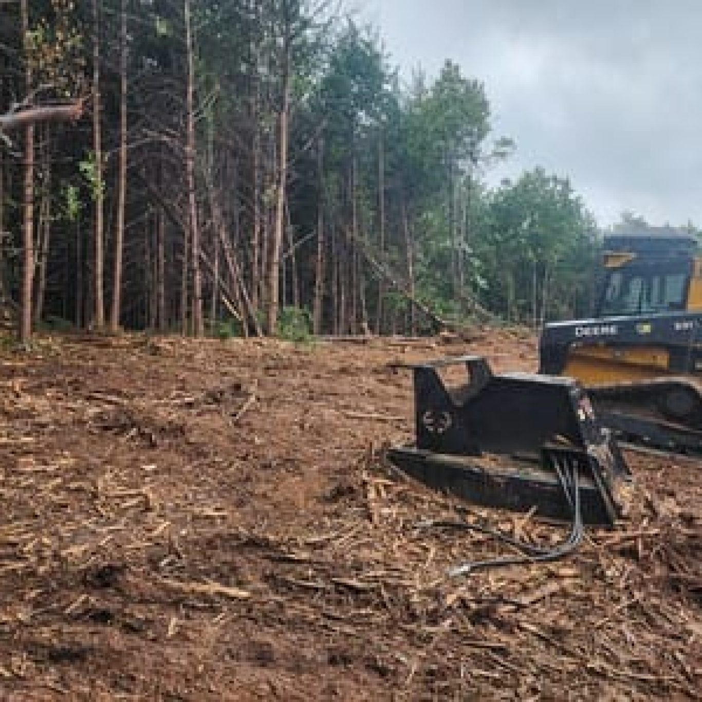 Forestry mulching machine clearing overgrown fence line on wooded Lynchburg residential property.